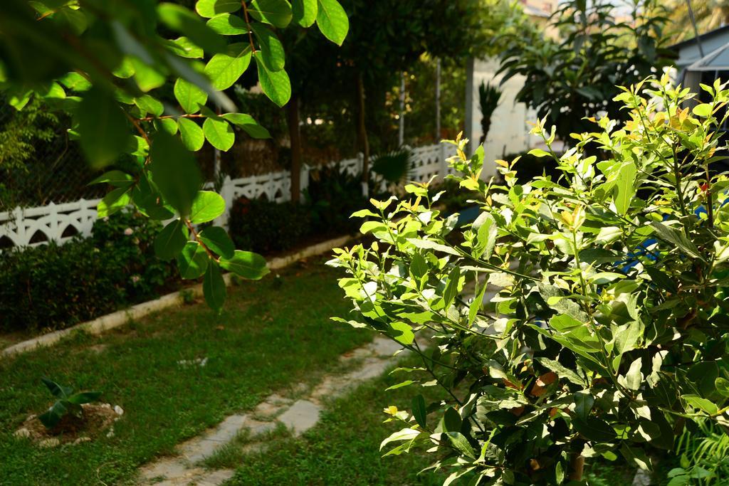 Pinar Hotel Alanya Extérieur photo